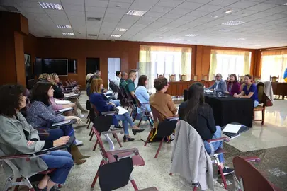 Reunión del Cabildo con representantes del sector sanitario y de diferentes entidades insulares,&nbsp;
