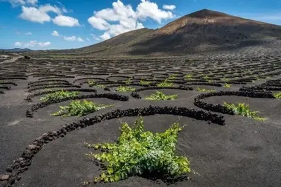 Zona de La Geria, Tinajo.