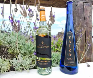  El Grifo y Vega de Yuco