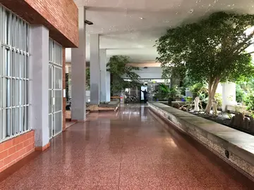 Escuela de Arte Pancho Lasso, acceso desde el jardín.