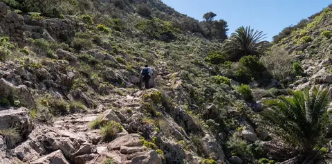 Barranco de Elvira Sánchez, Haría.