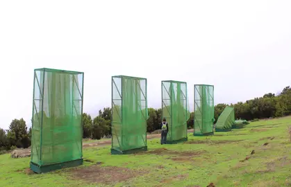 Captadores de niebla en El Hierro. Foto Ander Izaguirre.