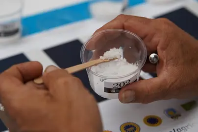 Concurso de sal marina de Canarias.