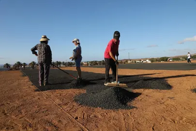 Canteros de cebollinos.