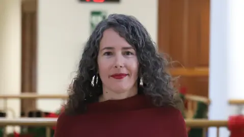 Pleno Cabildo de Lanzarote. Ariagona González.