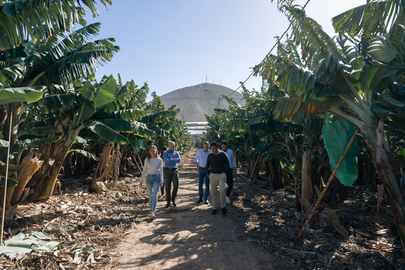Representantes de HiperDino realizan una visita a una de las fincas propiedad del Grupo Félix Santiago Melián.