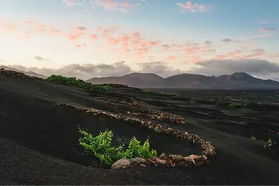 Paisaje de La Geria.
