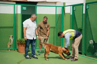Obras Centro de Bienestar Animal.