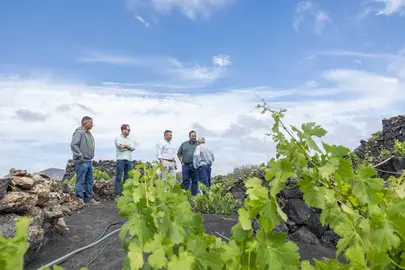 Visita a La Geria. Finca de Luis Fuentes.