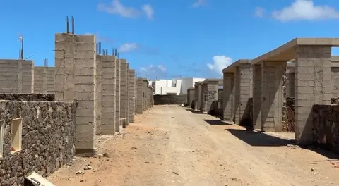 Okupas en la zona del Faro de Pechiguera.