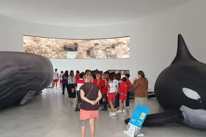 Exposición Cetáceos.