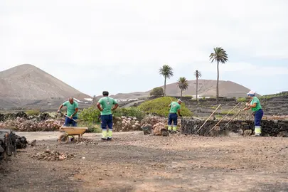 Limpieza de "La Geria".