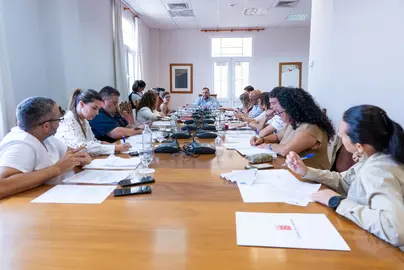 Mesa Insular de Medio Ambiente.