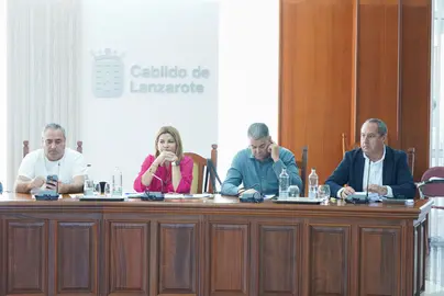 Pleno del 31 de julio.