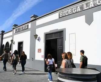 Bodega La Geria.