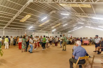 Consejo Insular de Mayores.