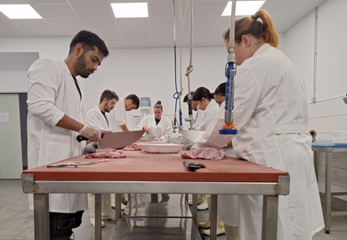 Momento de uno de los cursos de formación.