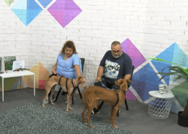 Mari Carmen Parodi y Xabier Basterretxea