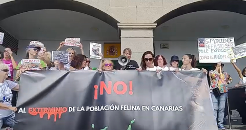 Manifestación contra los gatos.
