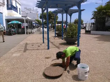 Control de plagas en Arrecife. Imagen de archivo.