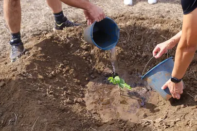 HiperDino continúa sus esfuerzos por promover prácticas sostenibles.