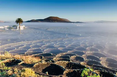La Geria Foto ©-Turismo Lanzarote