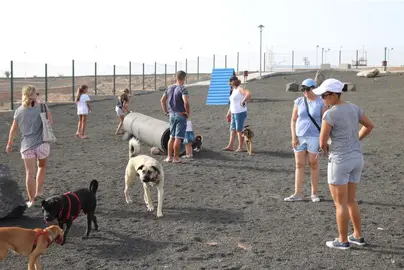 Jornadas de bienestar animal