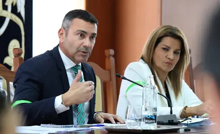 2.04.2025 PLENO ORDINARIO CABILDO DE LANZAROTE (13)