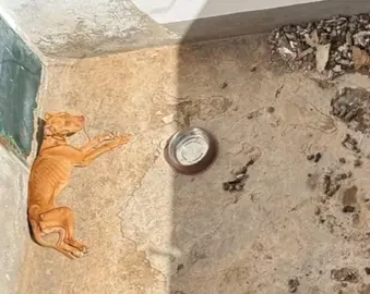 Captura de pantalla (19)