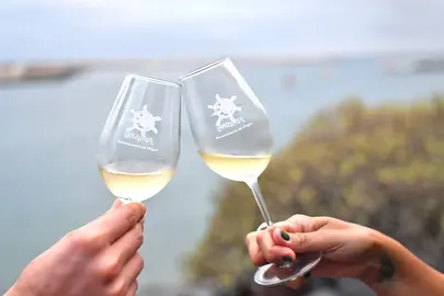 Brindis-Acto-Calificacion-Anada-2023-CRDO-scaled