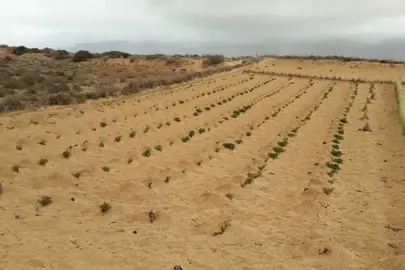 El Jable (Imagen: Archivo)