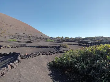 La Geria (Imagen: Archivo)