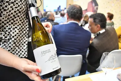 Milagro de Magmasía Selección 2022