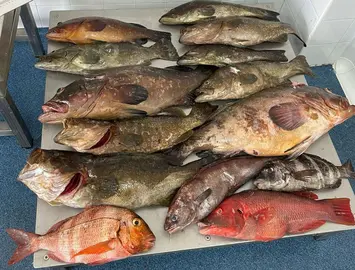 pescados incautados, imagen cedida a ADACIS por la Guardia Civil
