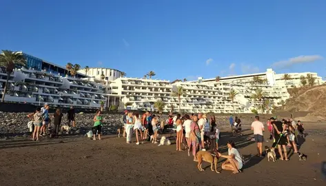 Mascotas en la playa de Las Coloradas