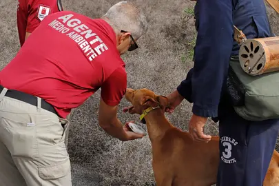 Agentes Medioambiente Cabildo