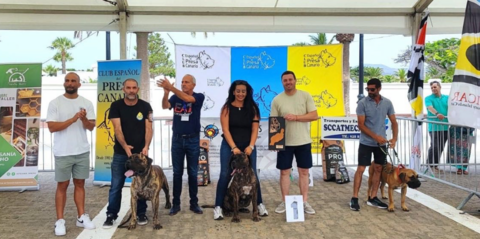 encuentro didáctico