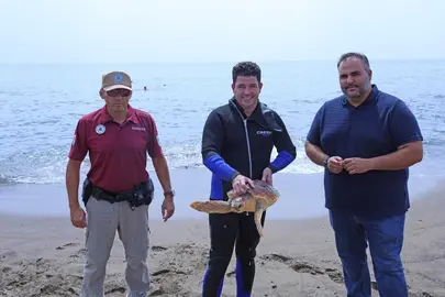 Devuelta al mar la tortuga boba rescatada
