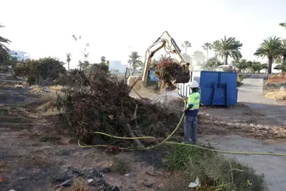 Limpieza del barranco del Hurón