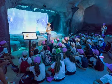 Rancho Texas Park impulsa en Lanzarote el proyecto europeo “Escuelas Azules”