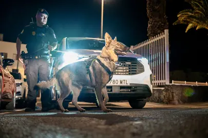La Unidad Canina de la Policía Local de Arrecife apoya estos despliegues anti drogas en los espacios públicos de Arrecife