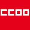 Unión Insular de CCOO