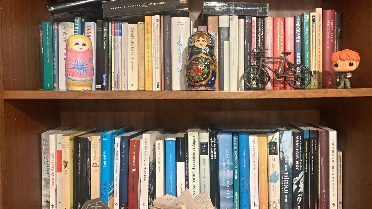 Libros en una estanter&iacute;a