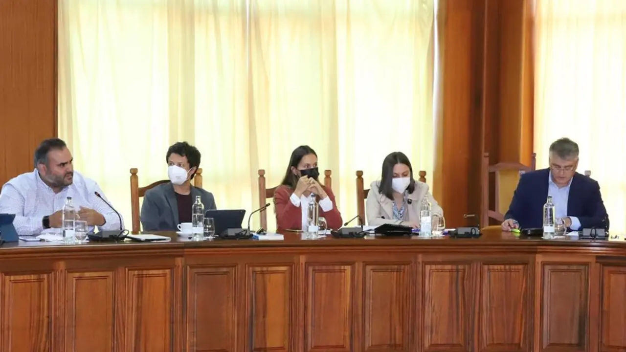 Grupo nacionalista en el Cabildo. A la derecha, David de la Hoz, el impulsor de la iniciativa