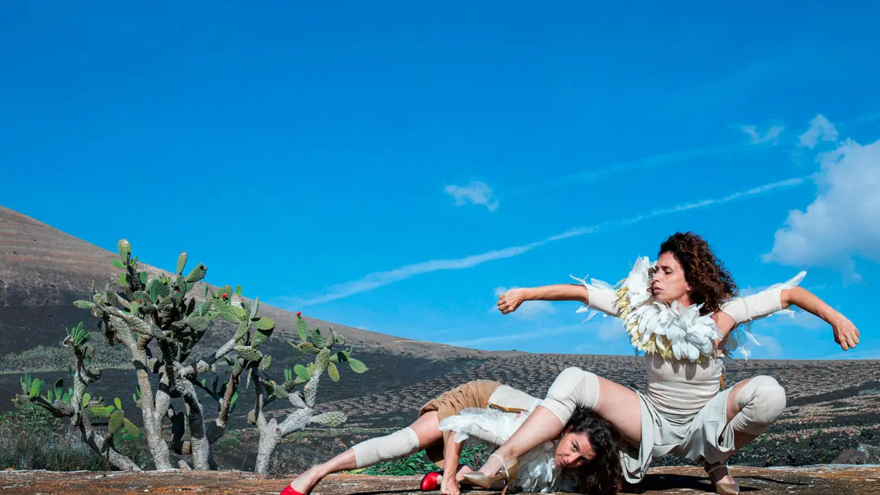 Cuatro días con propuestas dedicadas al arte del cuerpo en movimiento