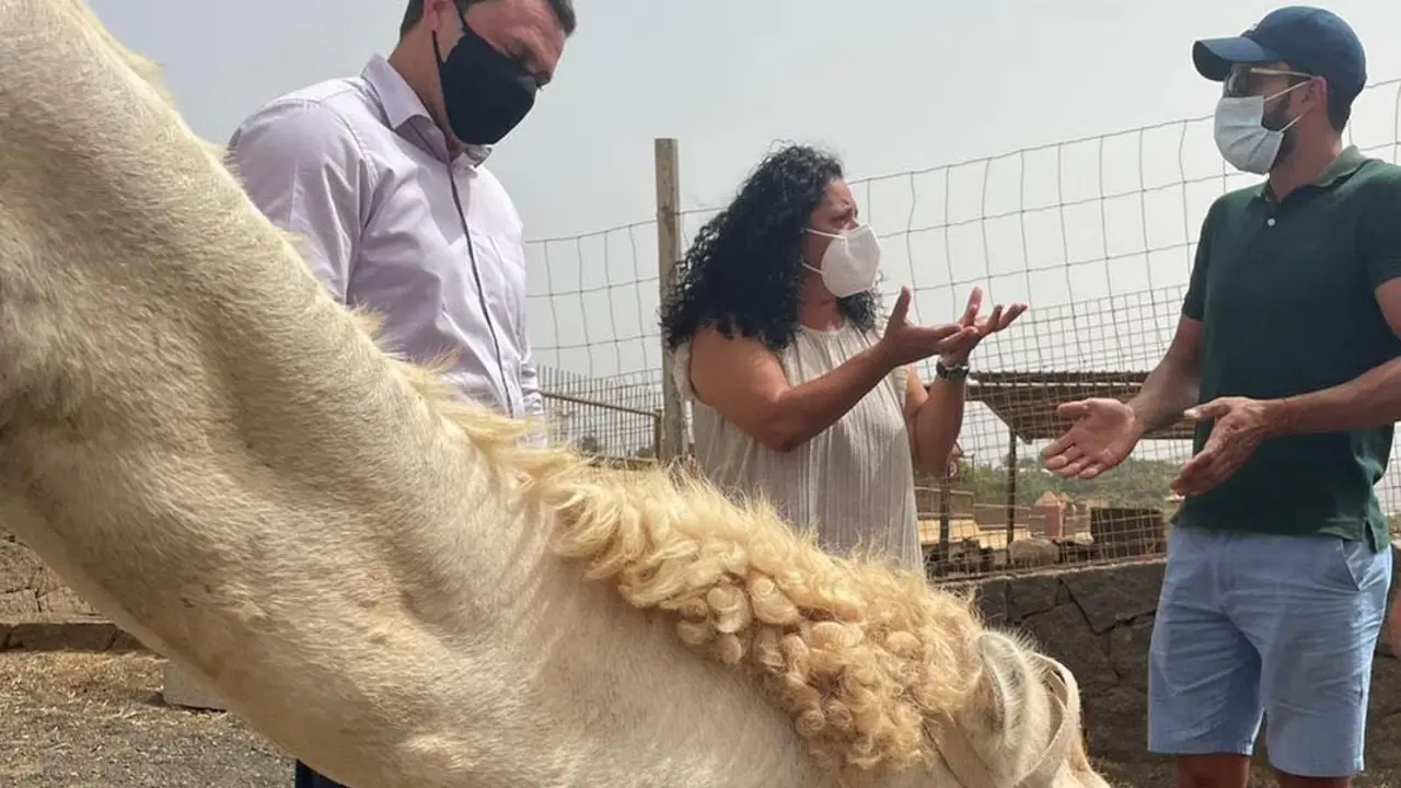 Alcalde de Yaiza con el sector camellar