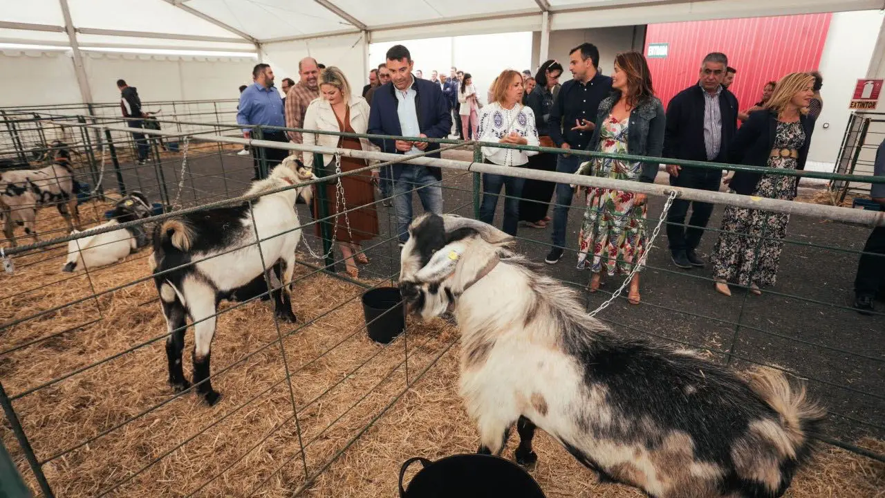 Feria Agrotecnológica y Ganadera de Teguise
