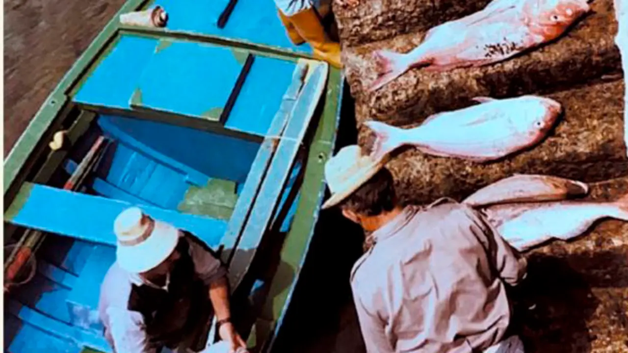 Foto del cartel del evento