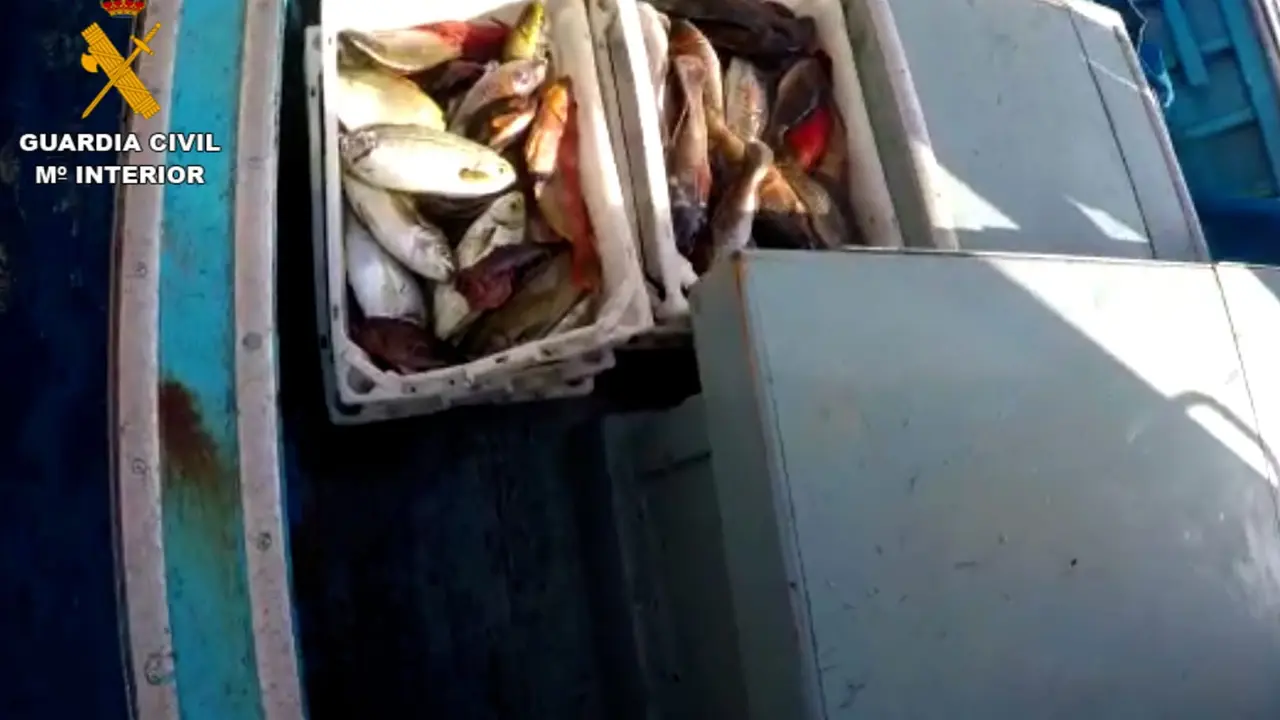 Fotografías de la Guardia Civil de la pesca