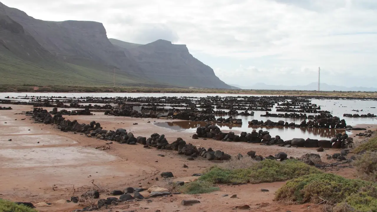 Día Mundial del Medio Ambiente